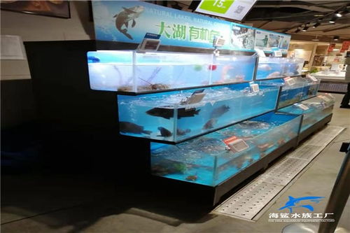 株洲海鮮缸定做價格 定做 制作 設計 安裝
