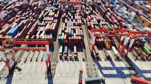 從海上起點(diǎn)到空中班車(chē) 上海激活跨境物流新動(dòng)能——活力中國(guó)調(diào)研行